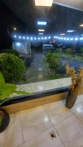 عکس کافه رستوران عمه عزیز