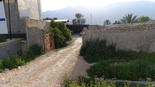 عکس صافکاری و نقاشی بیشاپور