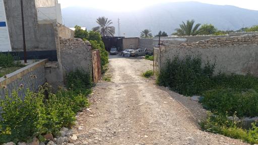 عکس صافکاری و نقاشی بیشاپور