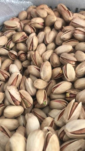 عکس خشکبار هاچین واچین