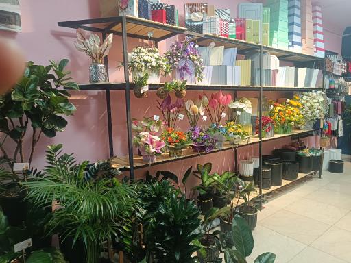 عکس گل نارون