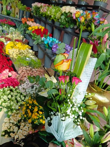 عکس گل نارون