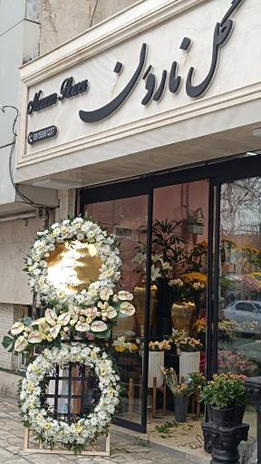 عکس گل نارون