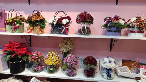 عکس گل نارون