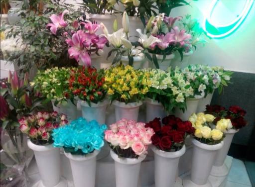 عکس گل نارون