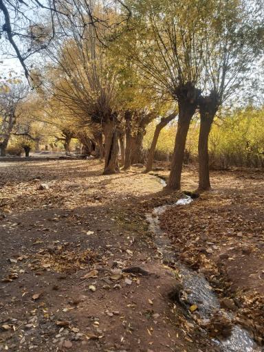 عکس ده صوفیان
