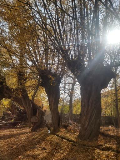 عکس ده صوفیان