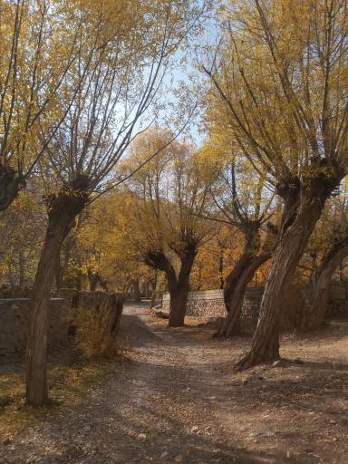 عکس ده صوفیان