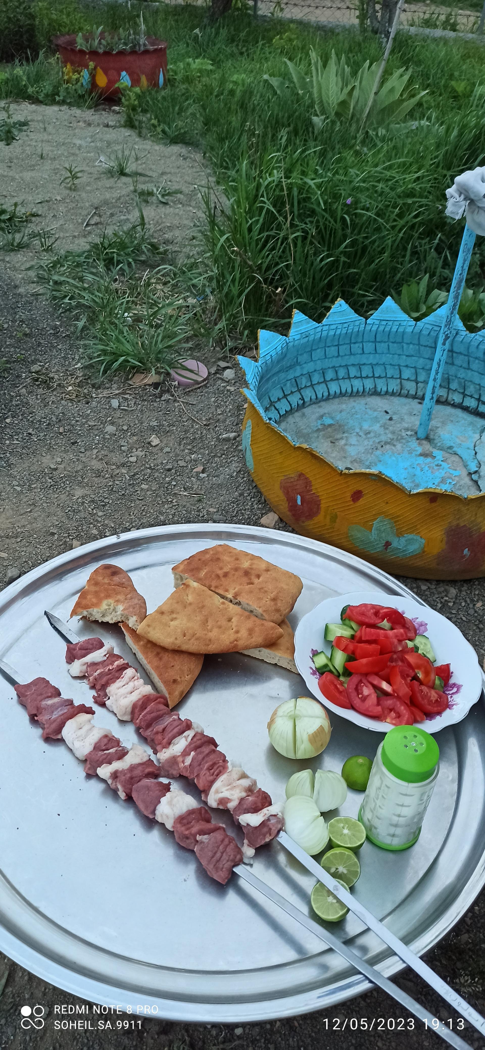 عکس باغ سنتی و چلوکبابی سهیل