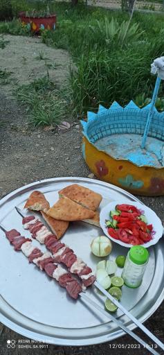 عکس باغ سنتی و چلوکبابی سهیل