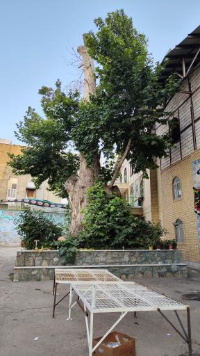 عکس مسجد جامع خور 