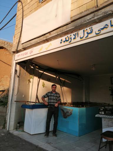 عکس ماهی زنده قزل آلا و سالمون