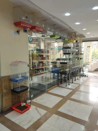 عکس پت شاپ احسان 