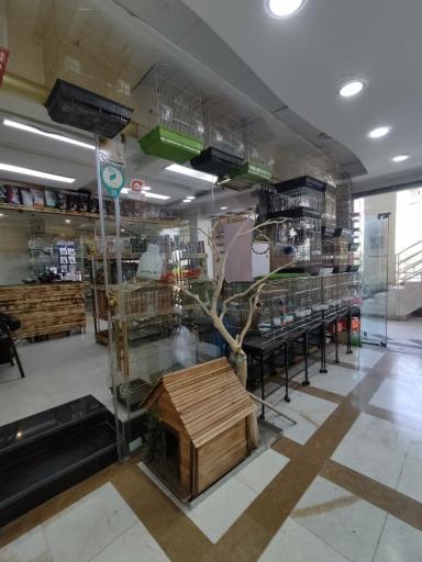 عکس پت شاپ احسان 