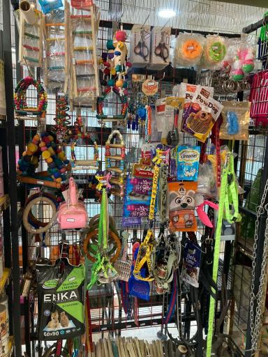 عکس پت شاپ احسان 