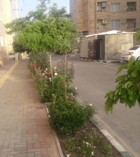 عکس مجتمع مسکونی نرگس 1 و 2