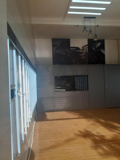 عکس تشخیص رنگ و کارشناسی رنگ خودرو درخش