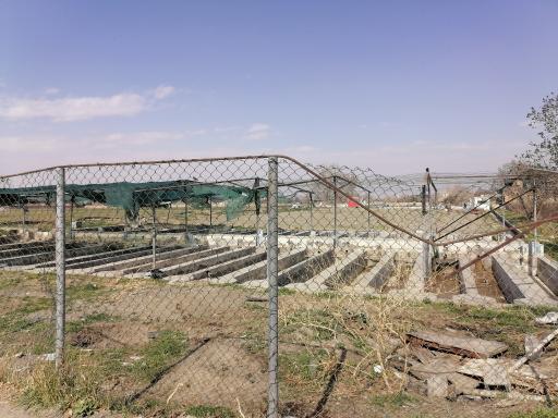 عکس پرورش ماهی نوچاه