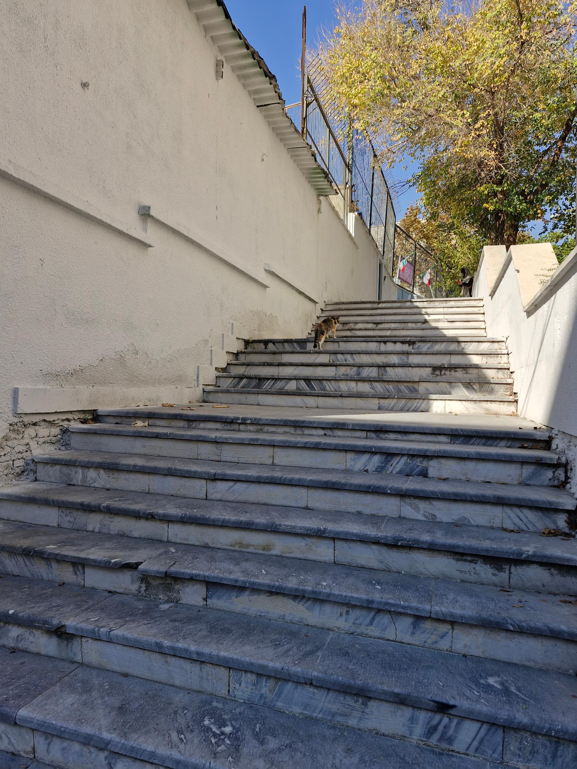 عکس دبیرستان دخترانه میلاد نور