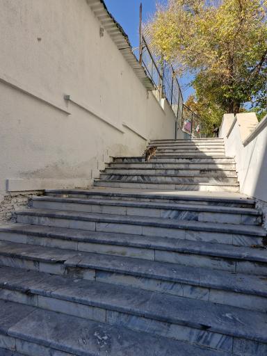 عکس دبیرستان دخترانه میلاد نور