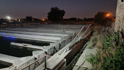 عکس پرورش ماهی نوچاه