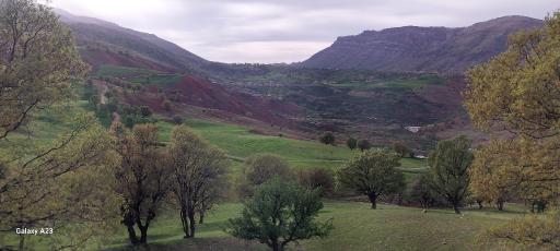 عکس اردل