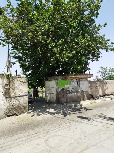 عکس پرورش ماهی نوچاه