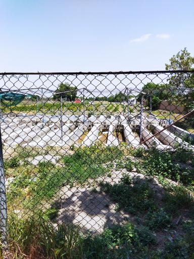 عکس پرورش ماهی نوچاه