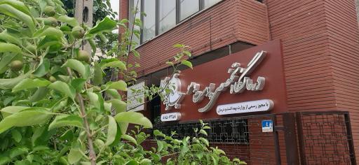 کلینیک تخصصی کاشت مو جلوه ماندگار