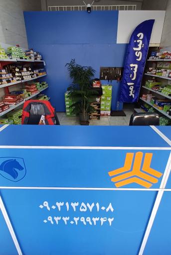 عکس دنیای لنت امیر 