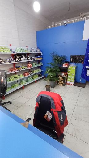 عکس دنیای لنت امیر 