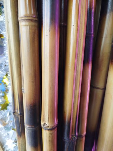 عکس گلکده ونوس