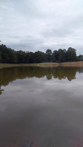 عکس دریاچه نور ماس