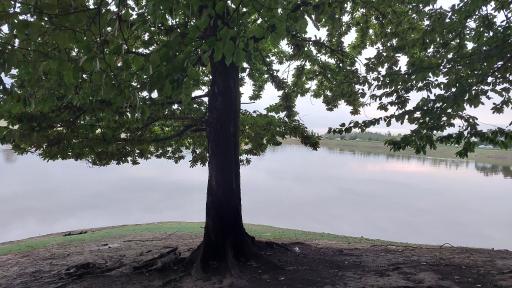 عکس دریاچه نور ماس