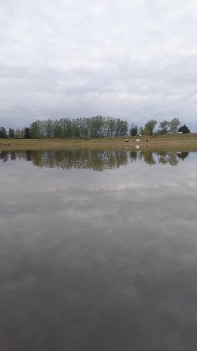 عکس دریاچه نور ماس