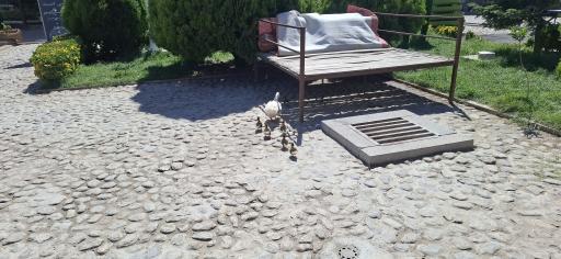 عکس کاروانسرای شاه عباسی