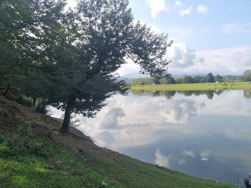 عکس دریاچه نور ماس