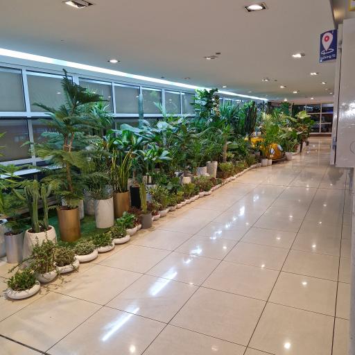 عکس هایپر استار