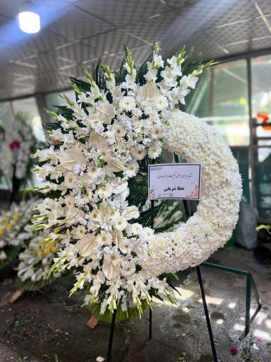 عکس گلکده ونوس