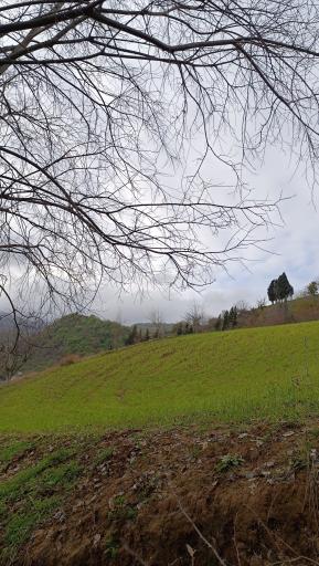 عکس اقامتگاه بومگردی یاقوت