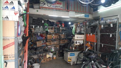 عکس دوچرخه سازی اشکان عطایی