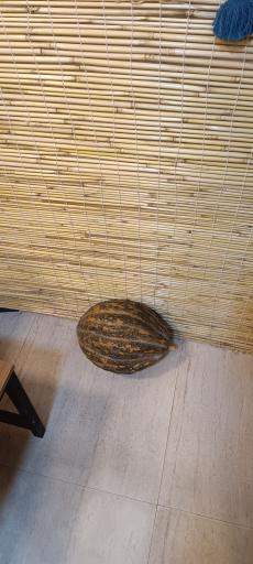 عکس چای خانه شهرزاد