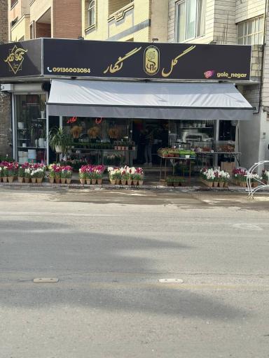 عکس گل نگار