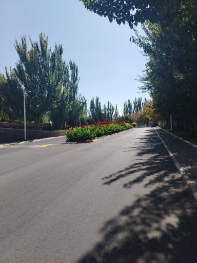 عکس هتل بین المللی ائل گلی
