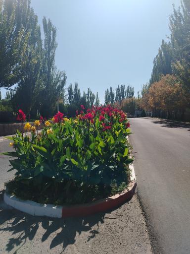 عکس هتل بین المللی ائل گلی
