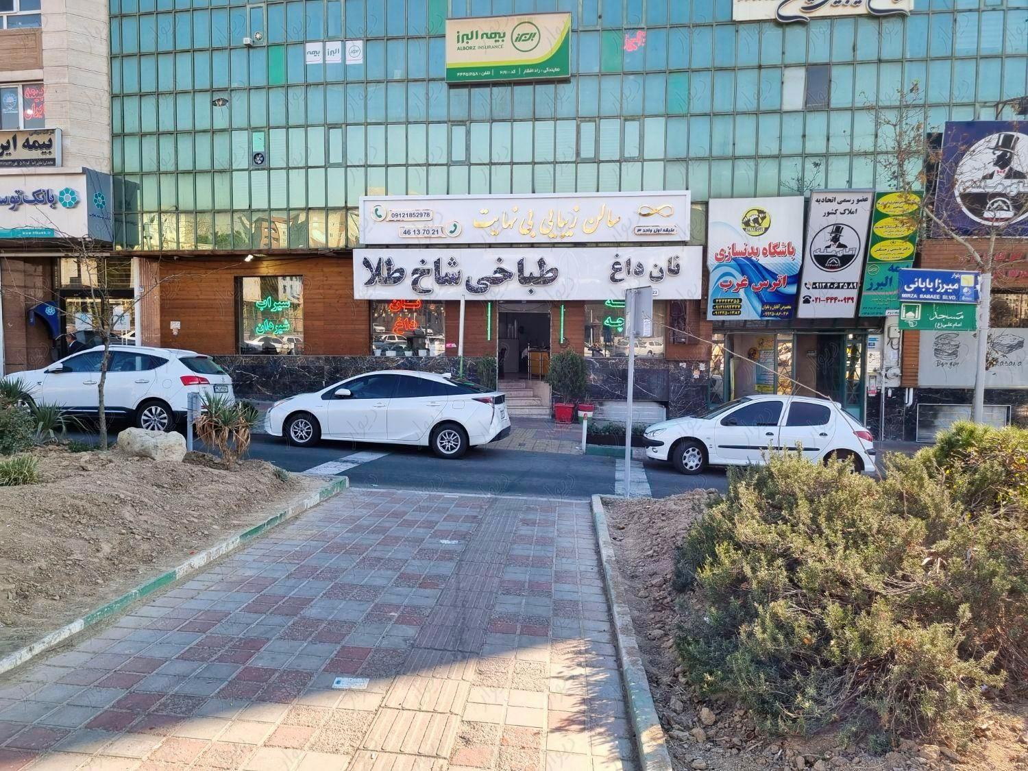 عکس طباخی شاخ طلا 