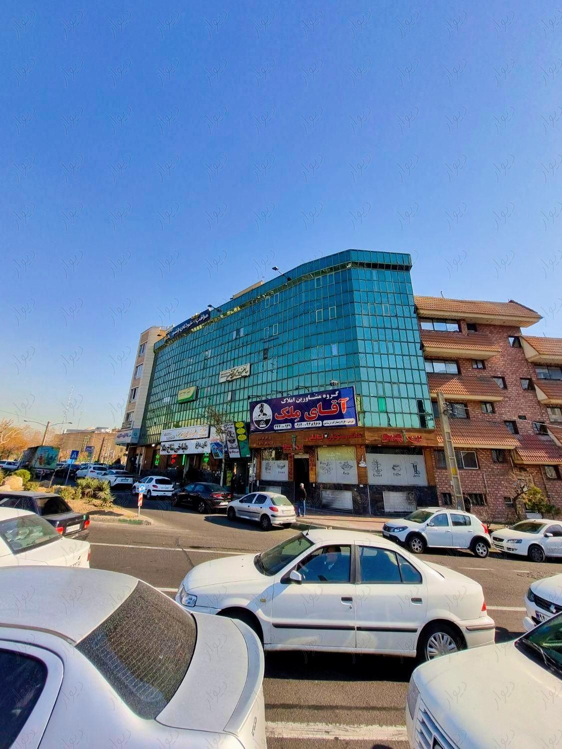 عکس طباخی شاخ طلا 