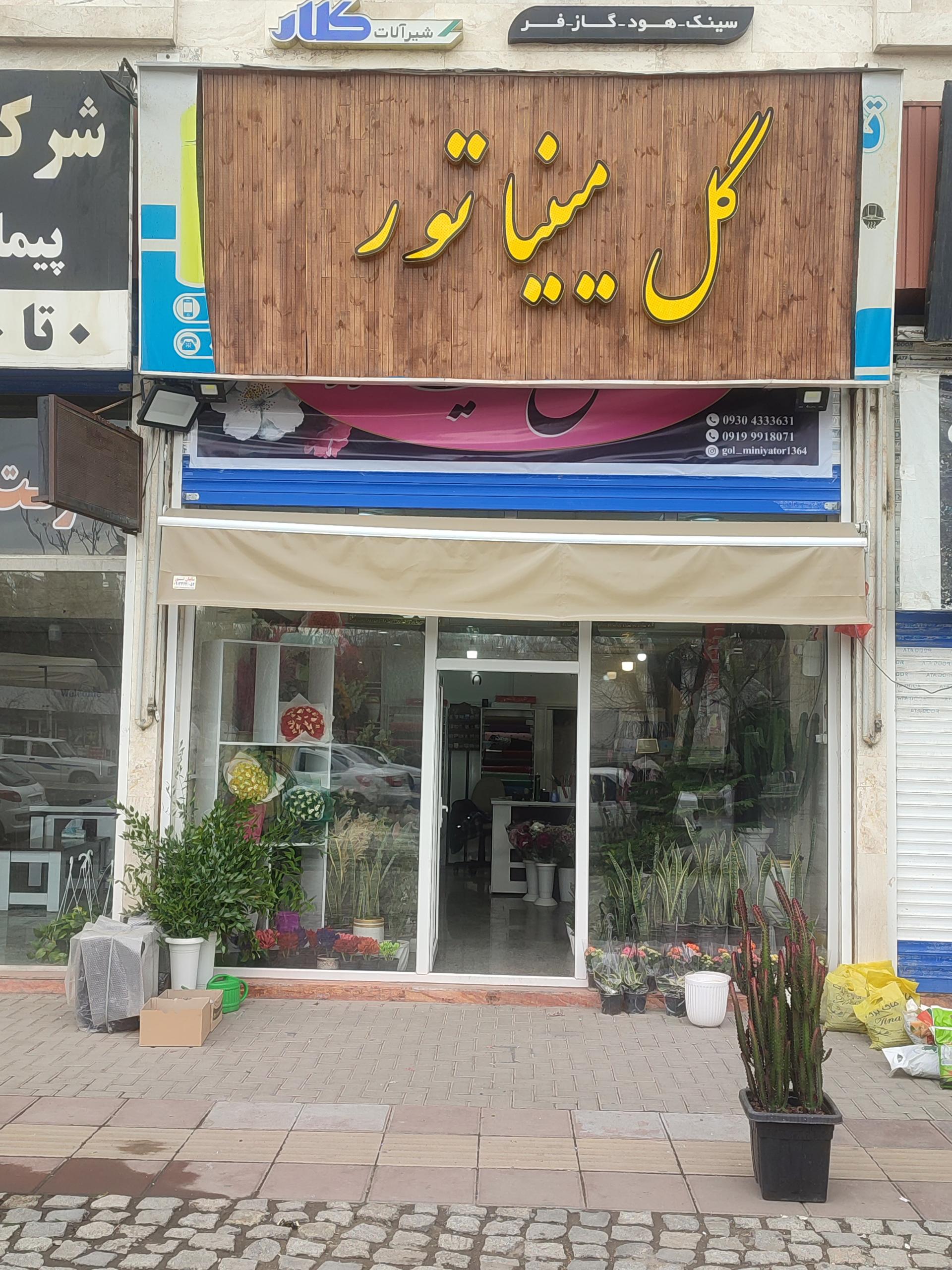 عکس گلفروشی مینیاتور
