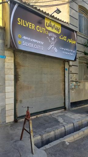 عکس پیرایش سیلور کات