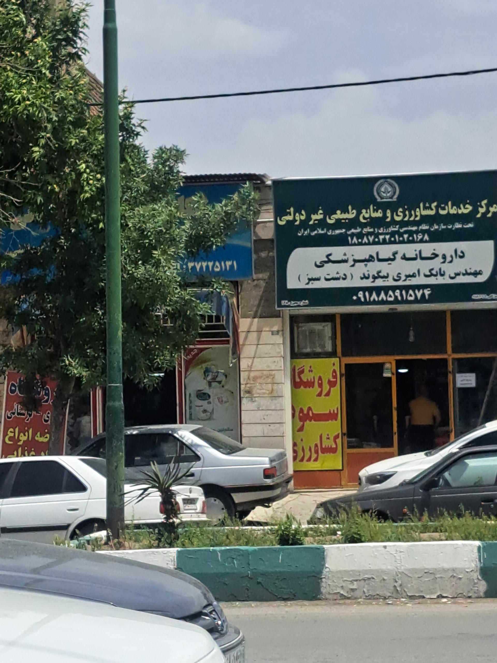 عکس دارو خانه گیاه پزشکی دشت سبز